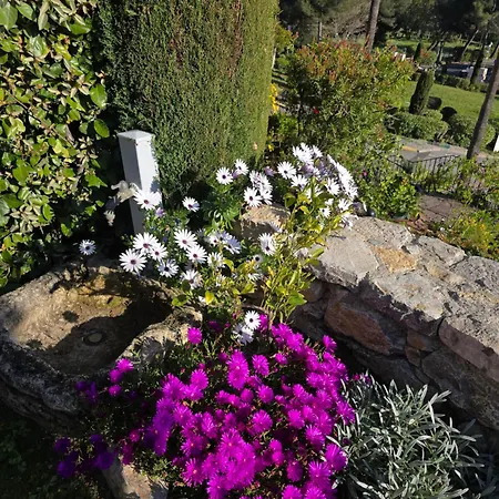 Perle D'or Vue Nyaraló