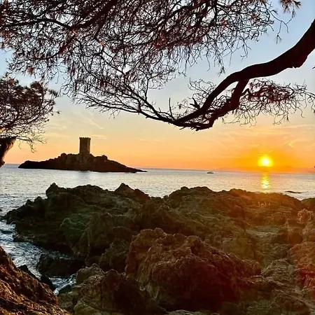 Semesterbostad Perle D'or Vue Saint-Raphaël