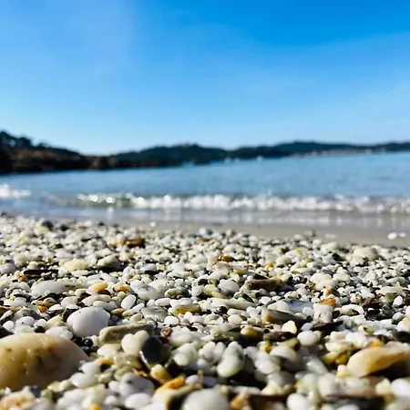 Perle D'or Vue