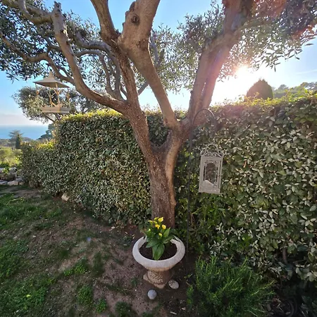 Perle D'or Vue * Saint-Raphael (Var)
