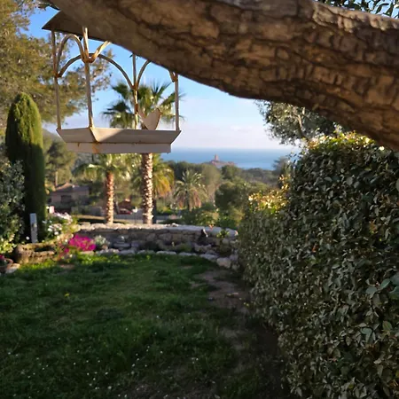 Perle D'or Vue *